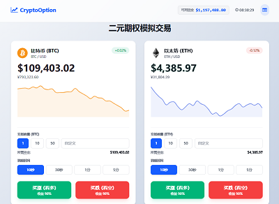 二元期权投资游戏